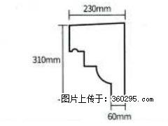 产品分解图型 - 檐口线，型号：SX311-YK-3，规格：230x310mm(3) - 郴州三象EPS建材 chenzhou.sx311.cc